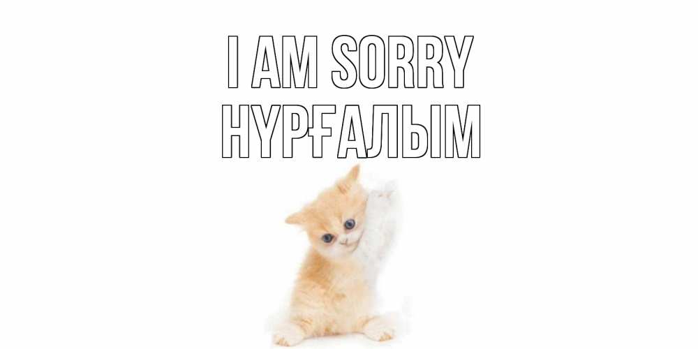 Greetings card с именем, НҮРҒАЛЫМ I am sorry кот Greetings with text for free download 