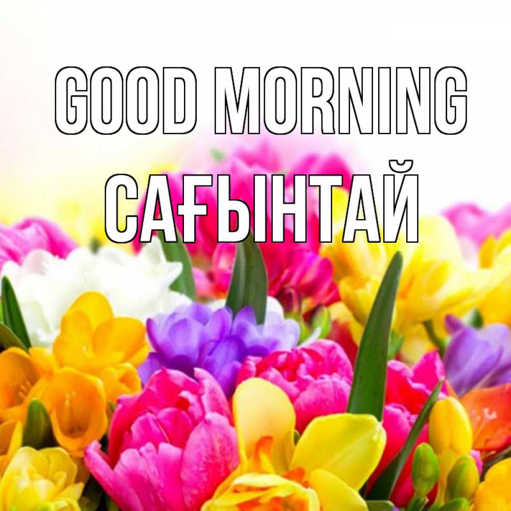 Greetings card с именем, Сағынтай Good morning создать открытку со свое подписью Greetings with text for free download 