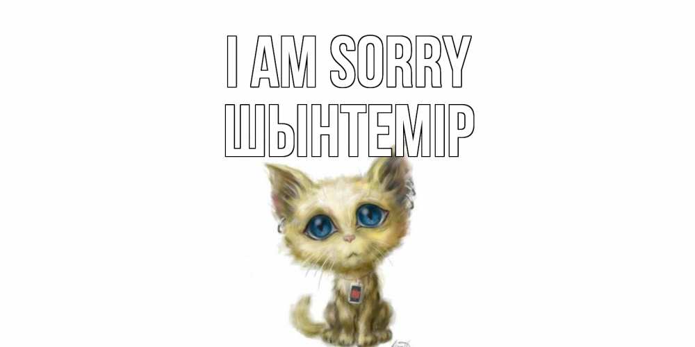 Greetings card с именем, ШЫНТЕМІР I am sorry прости меня открытка с котиком Greetings with text for free download 