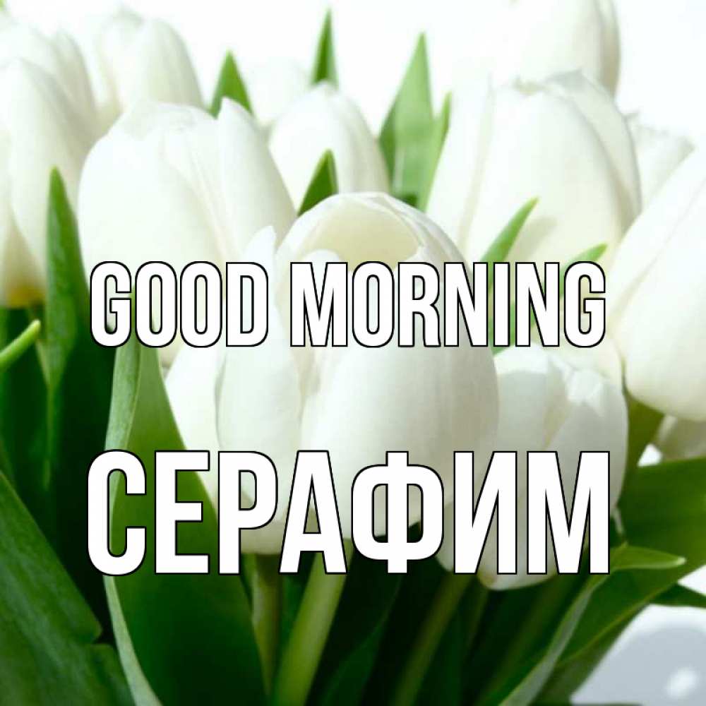 Greetings card с именем, Серафим Good morning открытки на каждый день по именам Greetings with text for free download 