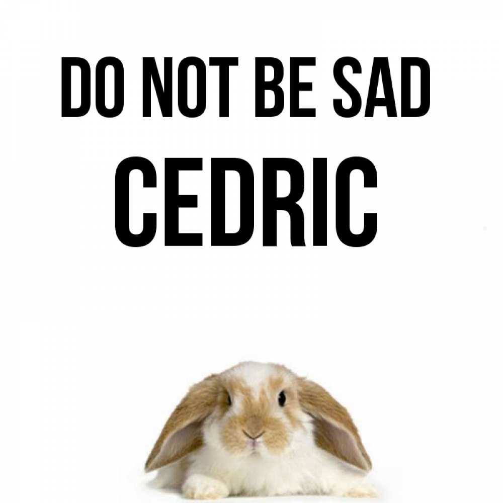 Greetings card с именем, Cedric Do not be sad коричнево белый заяц с большими ушками Greetings with text for free download 