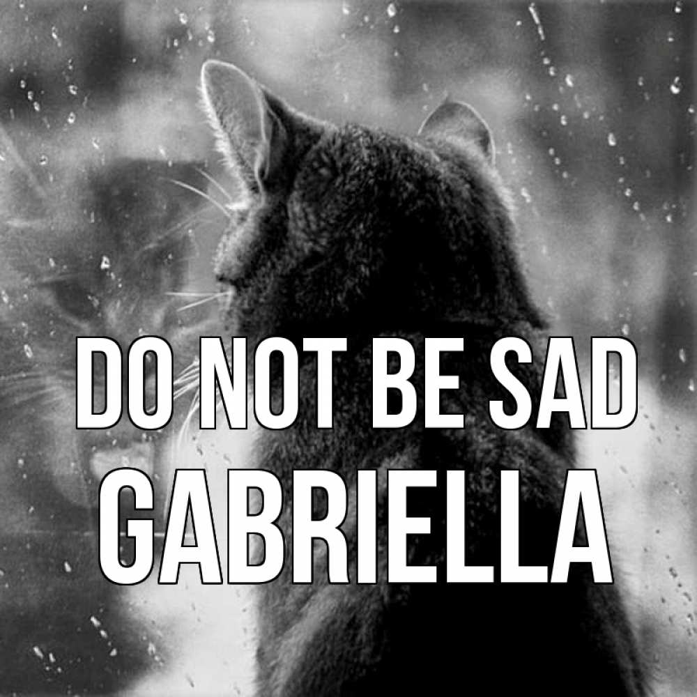 Greetings card с именем, Gabriella Do not be sad отражение кота 1 Greetings with text for free download 