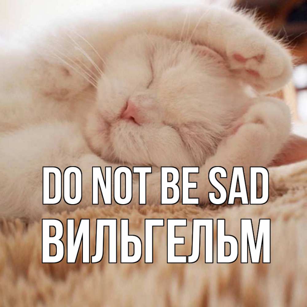 Greetings card с именем, Вильгельм Do not be sad белый кот Greetings with text for free download 