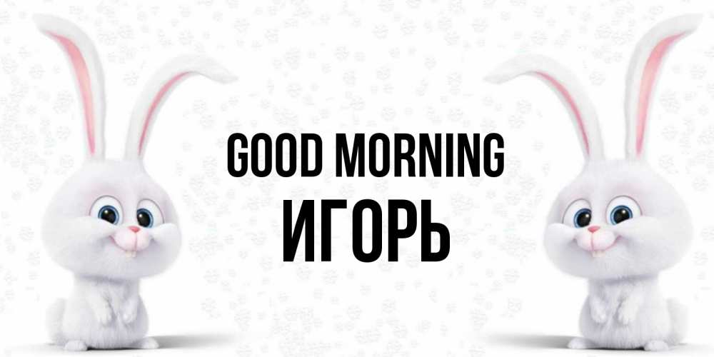 Greetings card с именем, Игорь Good morning кролики с длинными ушками Greetings with text for free download 