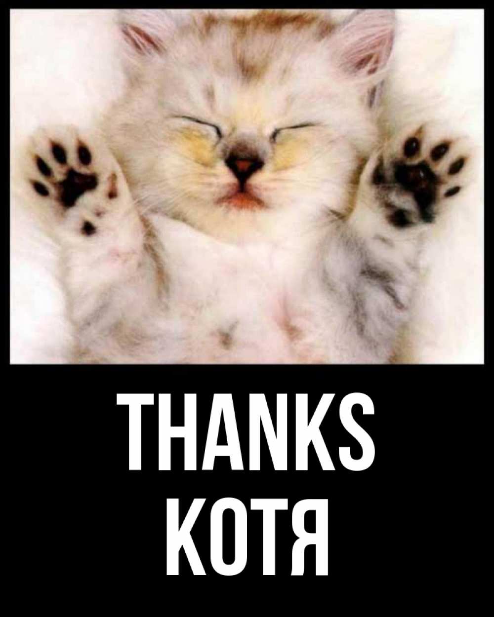 Greetings card с именем, Котя Thanks маленький котенок Greetings with text for free download 