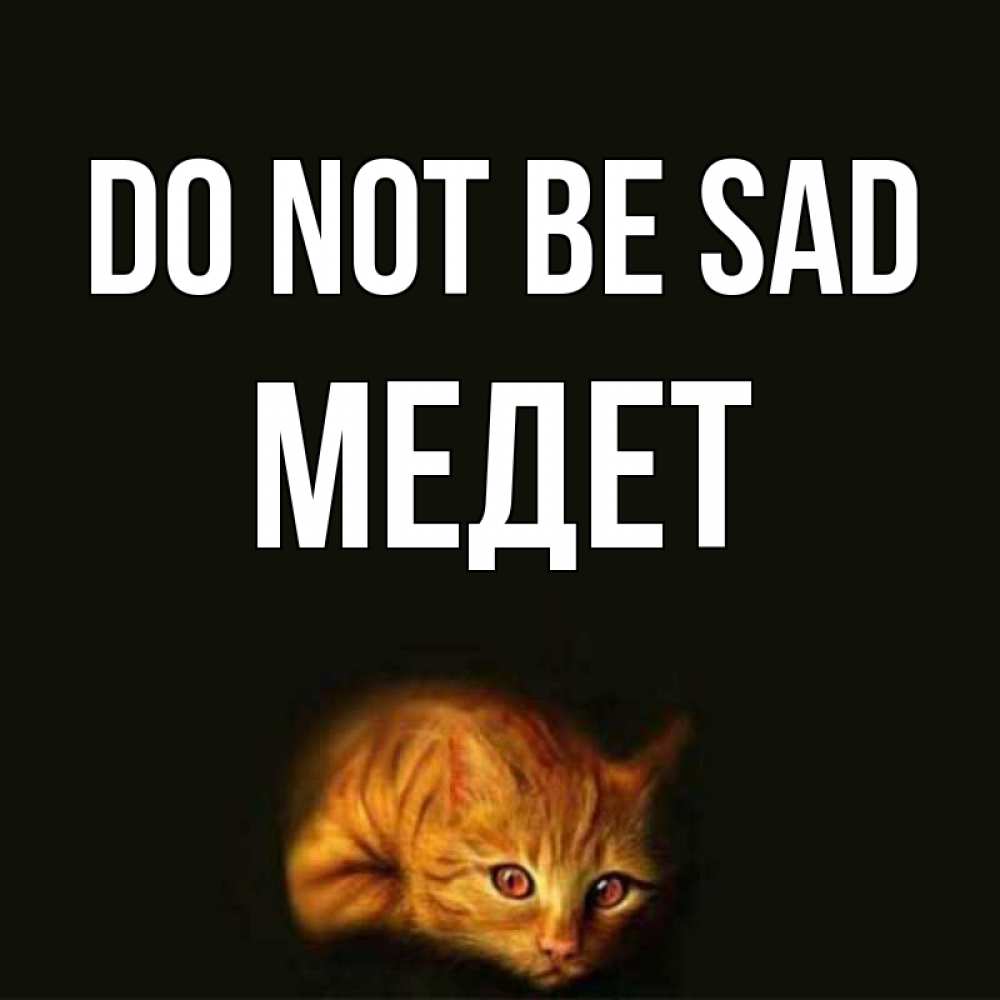 Greetings card с именем, МЕДЕТ Do not be sad лежащий кот в темноте Greetings with text for free download 