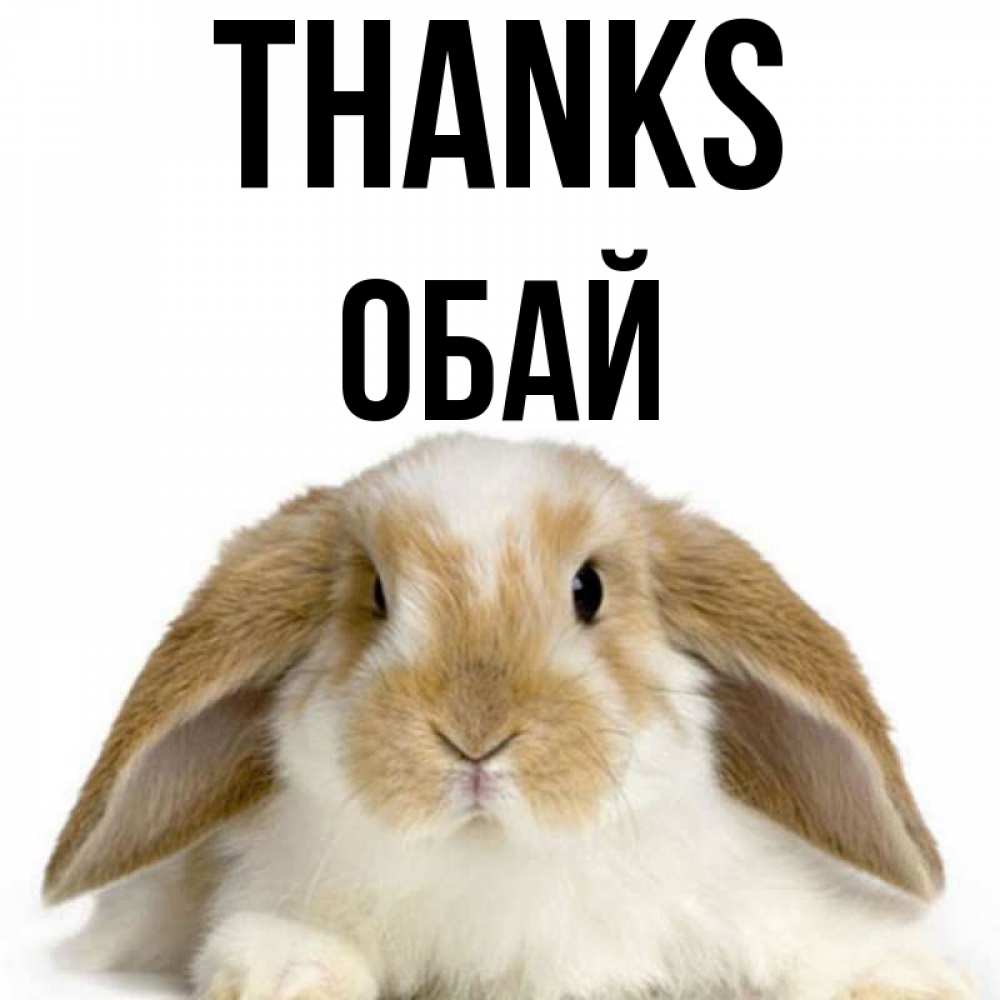 Greetings card с именем, ОБАЙ Thanks коричнево белый заяц Greetings with text for free download 