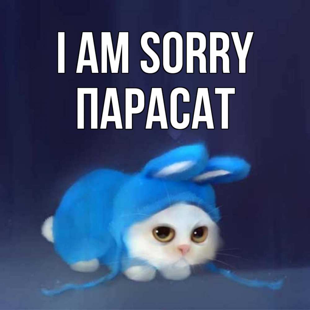 Greetings card с именем, ПАРАСАТ I am sorry невинный котозай просит прощения Greetings with text for free download 