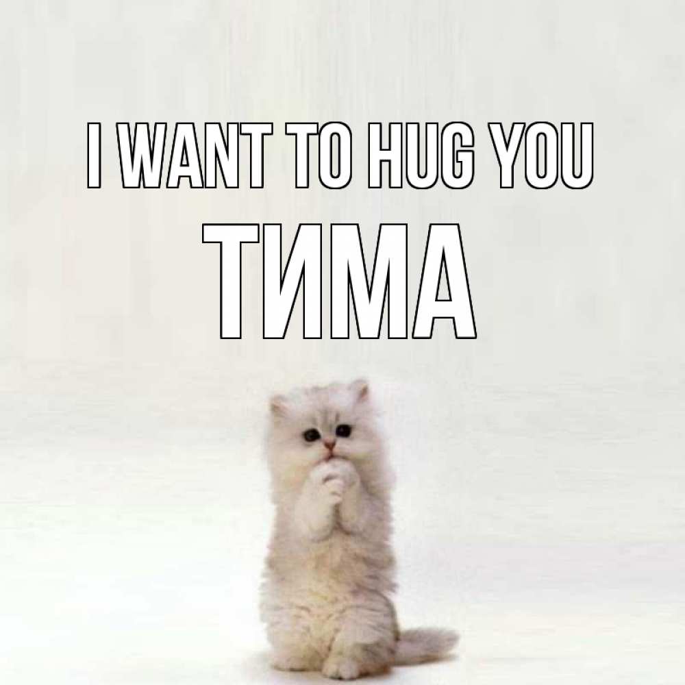 Greetings card с именем, Тима I want to hug you открытки с креативными подписями Greetings with text for free download 