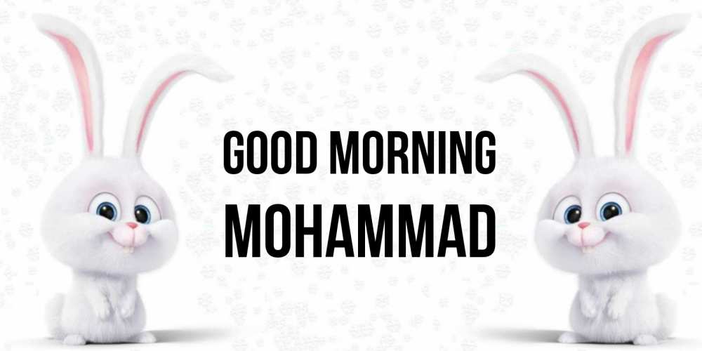 Greetings card с именем, Mohammad Good morning кролики с длинными ушками Greetings with text for free download 