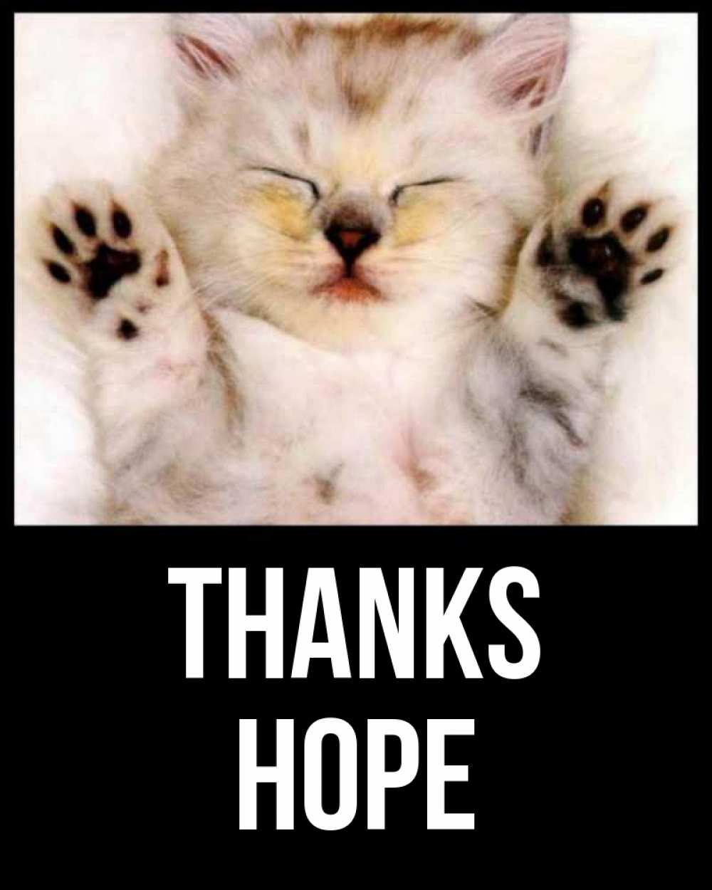 Greetings card с именем, Hope Thanks маленький котенок Greetings with text for free download 