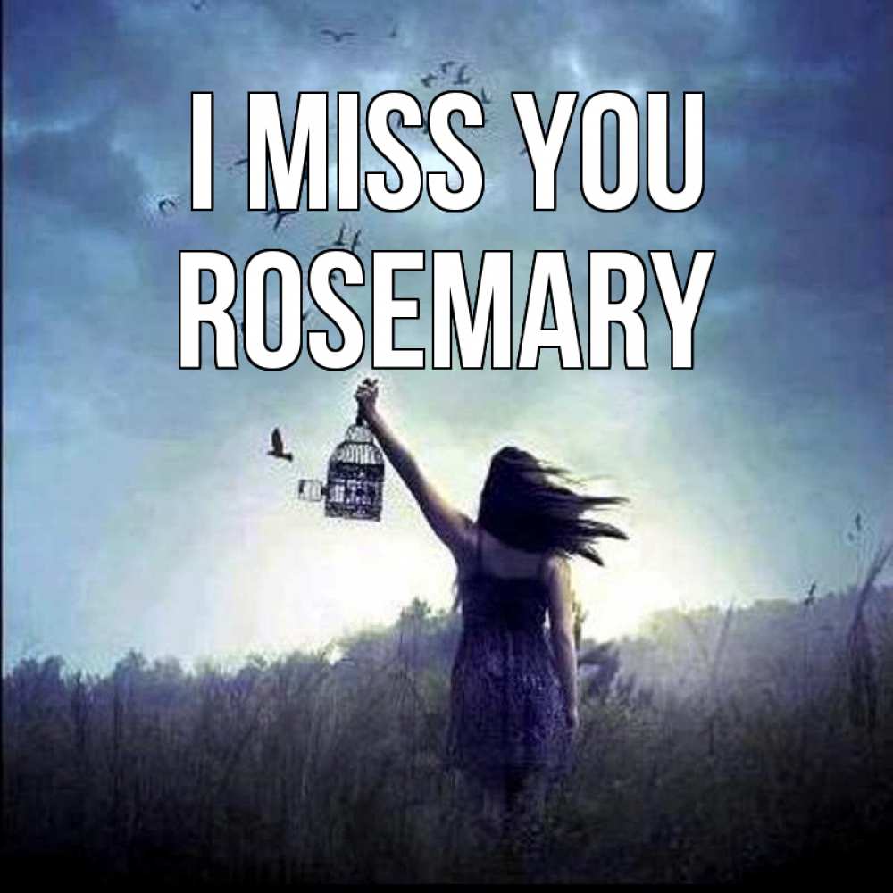 Greetings card с именем, Rosemary I miss you приходи ко мне Greetings with text for free download 