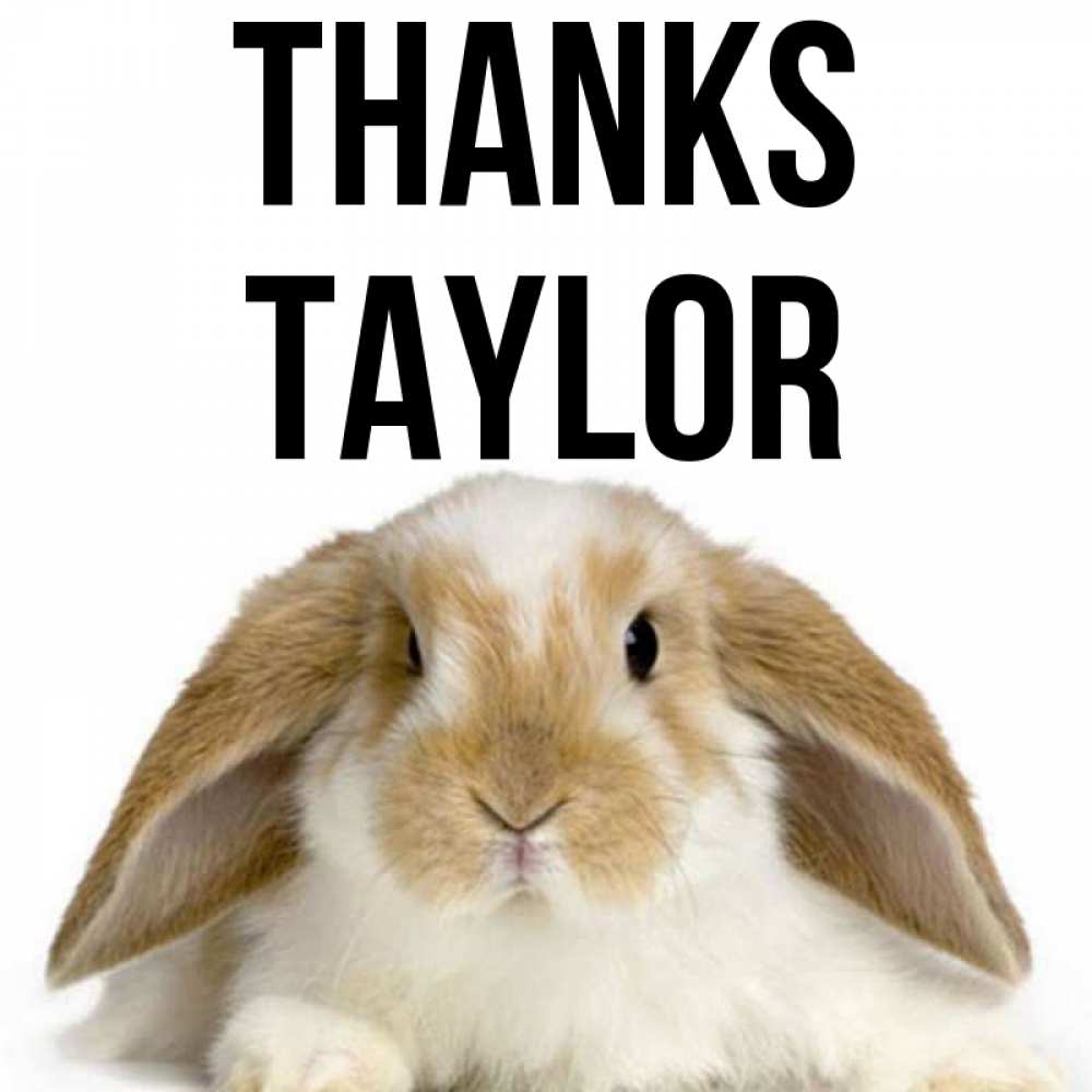Greetings card с именем, Taylor Thanks коричнево белый заяц Greetings with text for free download 