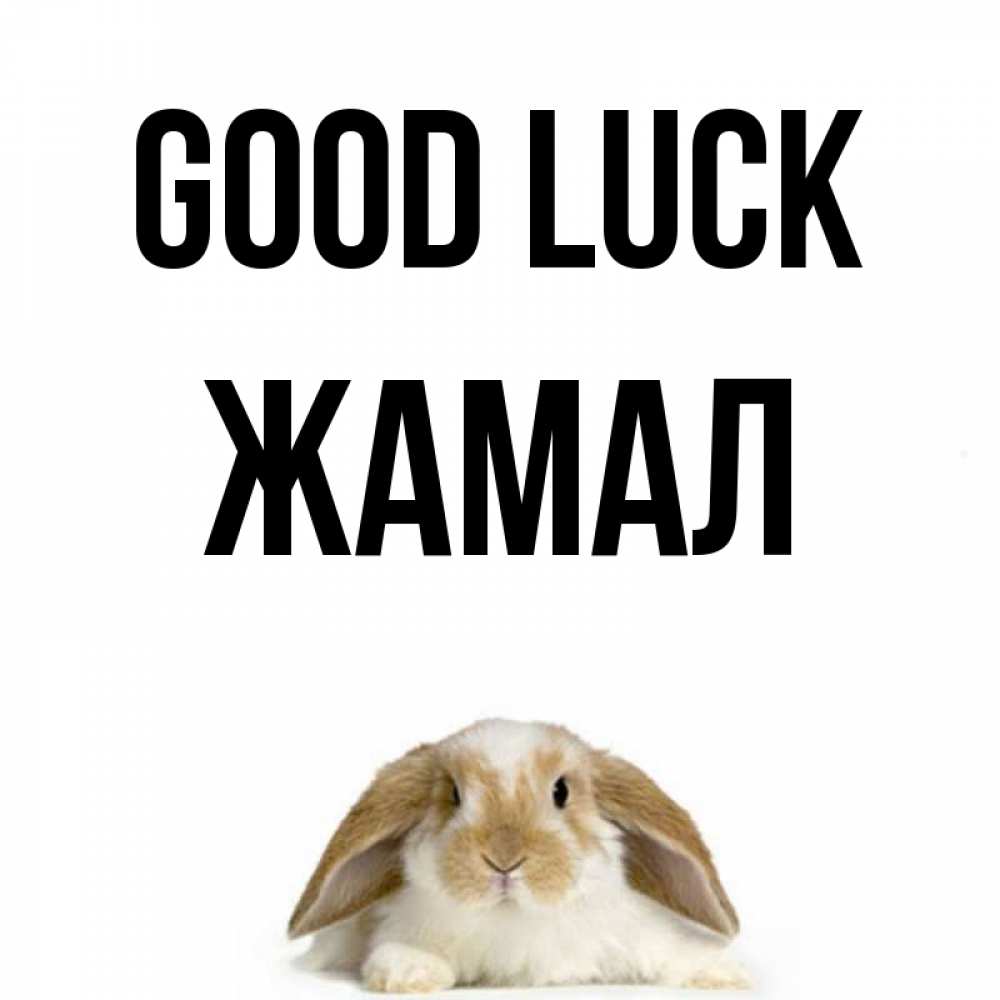 Greetings card с именем, ЖАМАЛ Good luck открытки с произвольным текстом который можно вставить в открытку и создать ее самостоятельно бесплатно онлайн Greetings with text for free download 