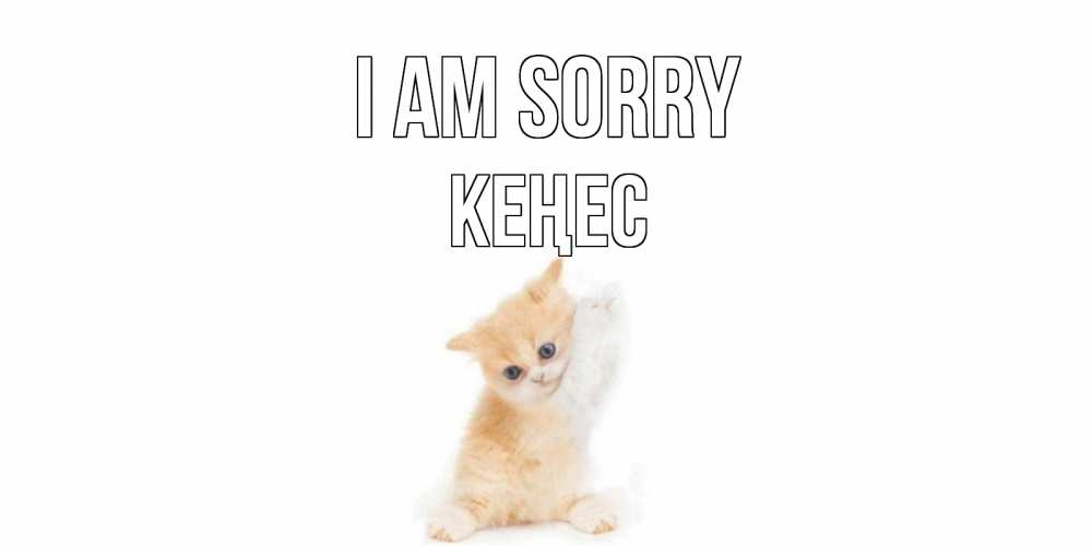 Greetings card с именем, Кеңес I am sorry кот Greetings with text for free download 
