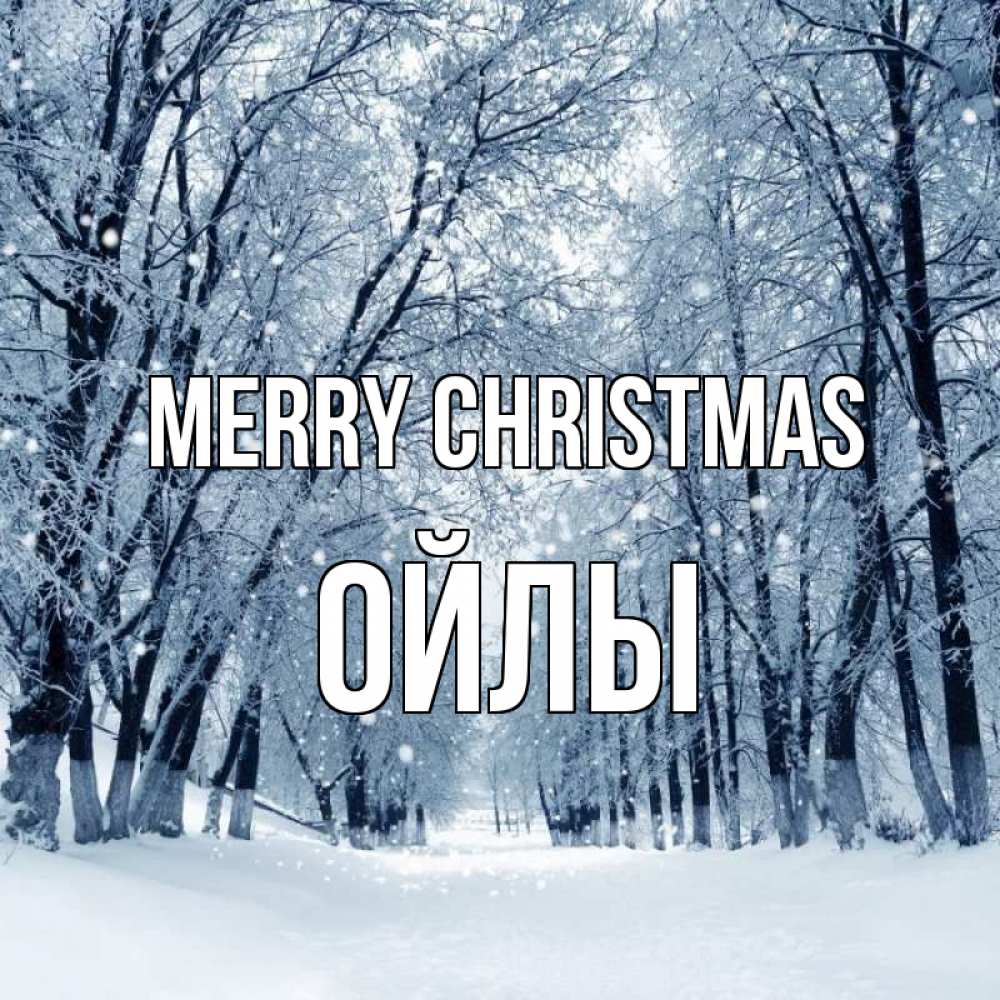 Greetings card с именем, ОЙЛЫ Merry Christmas снег, лес, парк Greetings with text for free download 