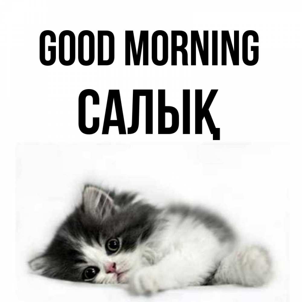 Greetings card с именем, САЛЫҚ Good morning кот лапки Greetings with text for free download 