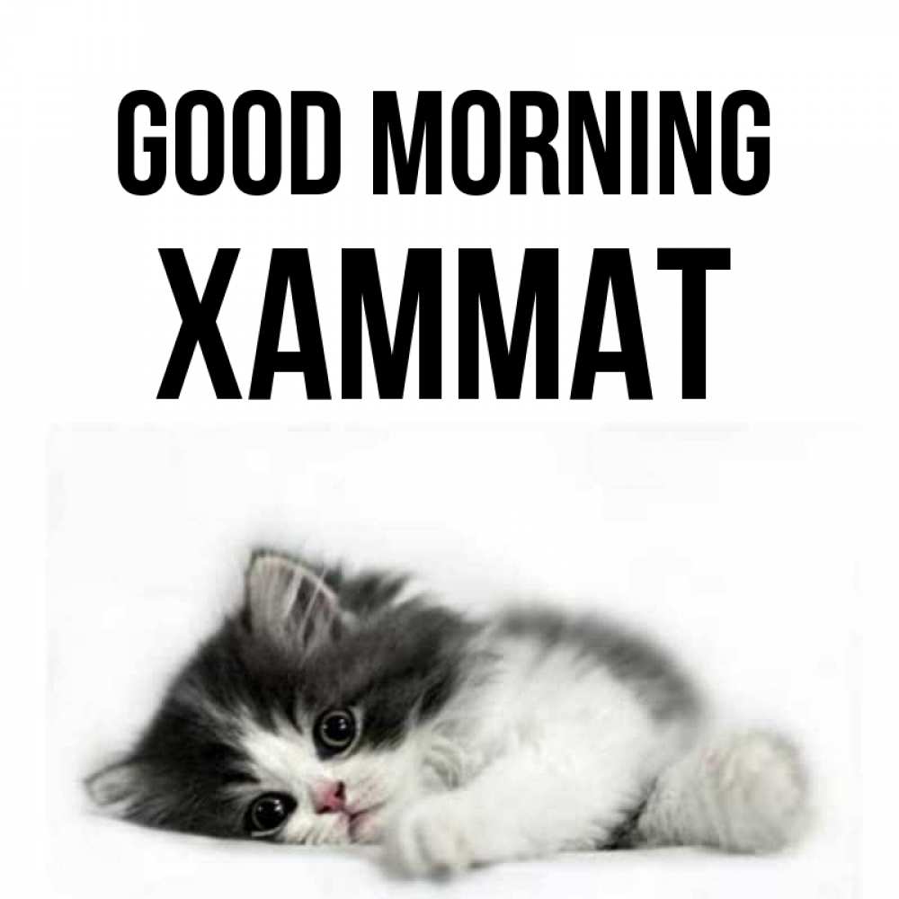 Greetings card с именем, ХАММАТ Good morning кот лапки Greetings with text for free download 