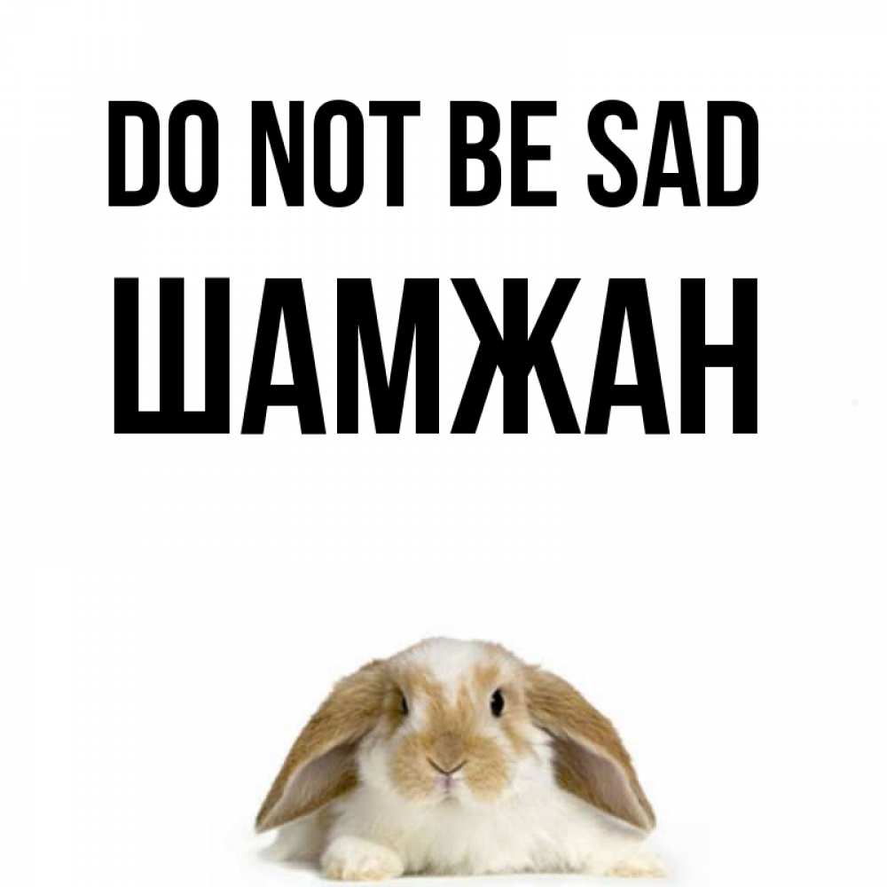 Greetings card с именем, ШАМЖАН Do not be sad коричнево белый заяц с большими ушками Greetings with text for free download 