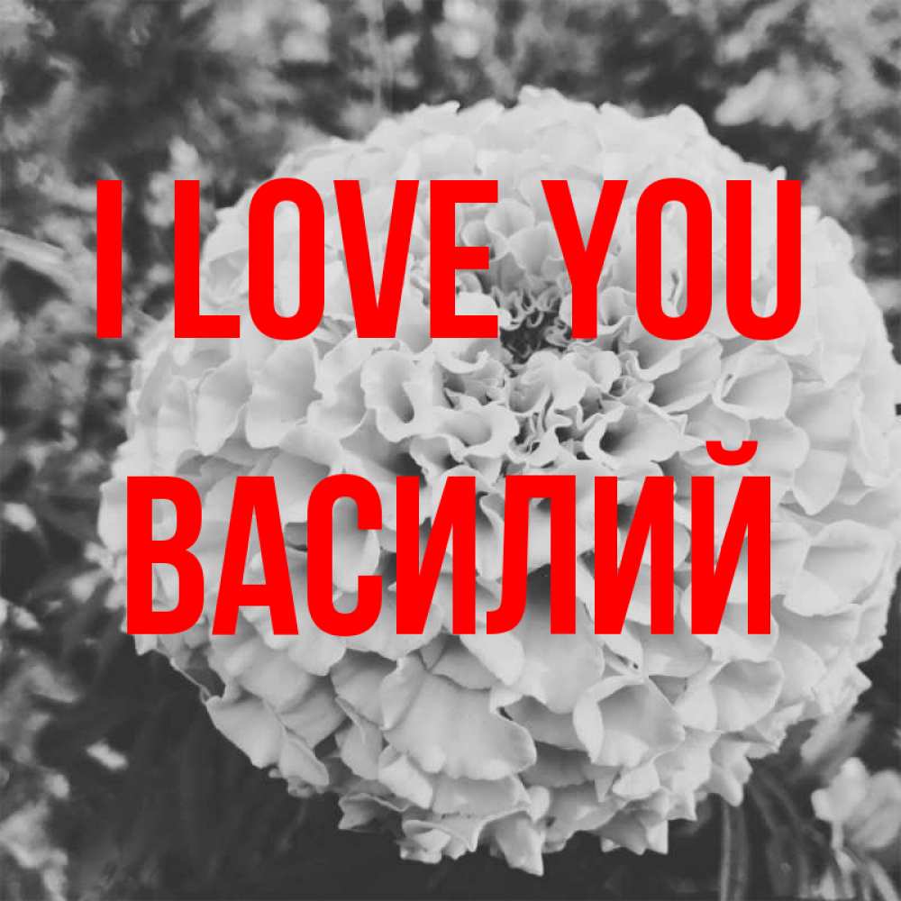 Greetings card с именем, Василий I love you подпись Greetings with text for free download 