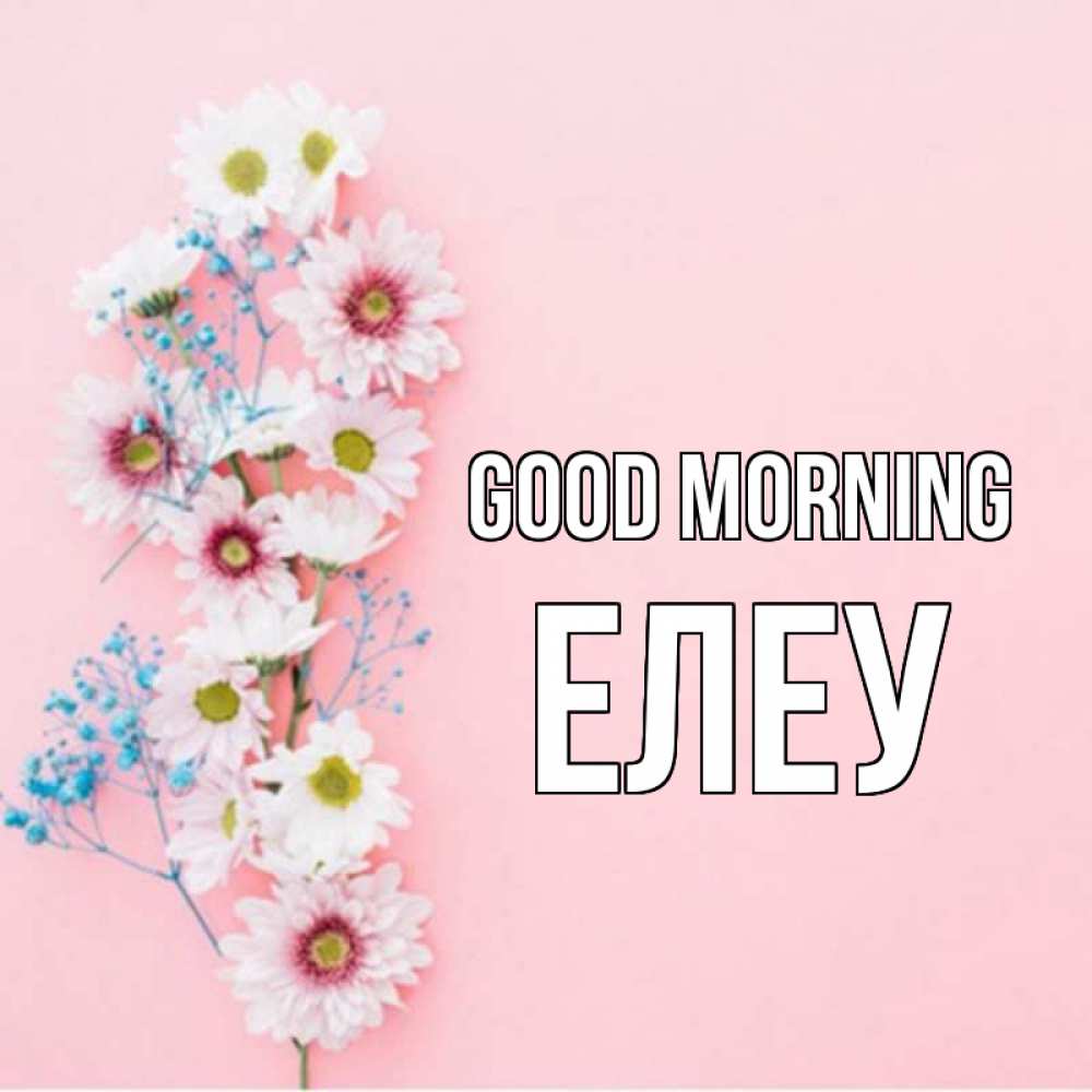 Greetings card с именем, Елеу Good morning цветы с подписью Greetings with text for free download 