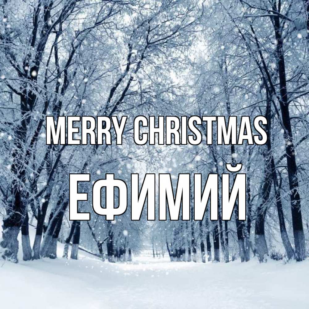 Greetings card с именем, Ефимий Merry Christmas снег, лес, парк Greetings with text for free download 
