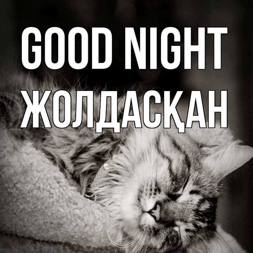 Greetings card с именем, Жолдасқан Good night котярик пушистый Greetings with text for free download 
