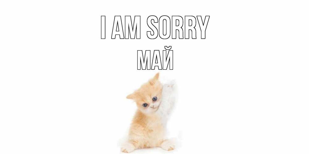 Greetings card с именем, Май I am sorry кот Greetings with text for free download 