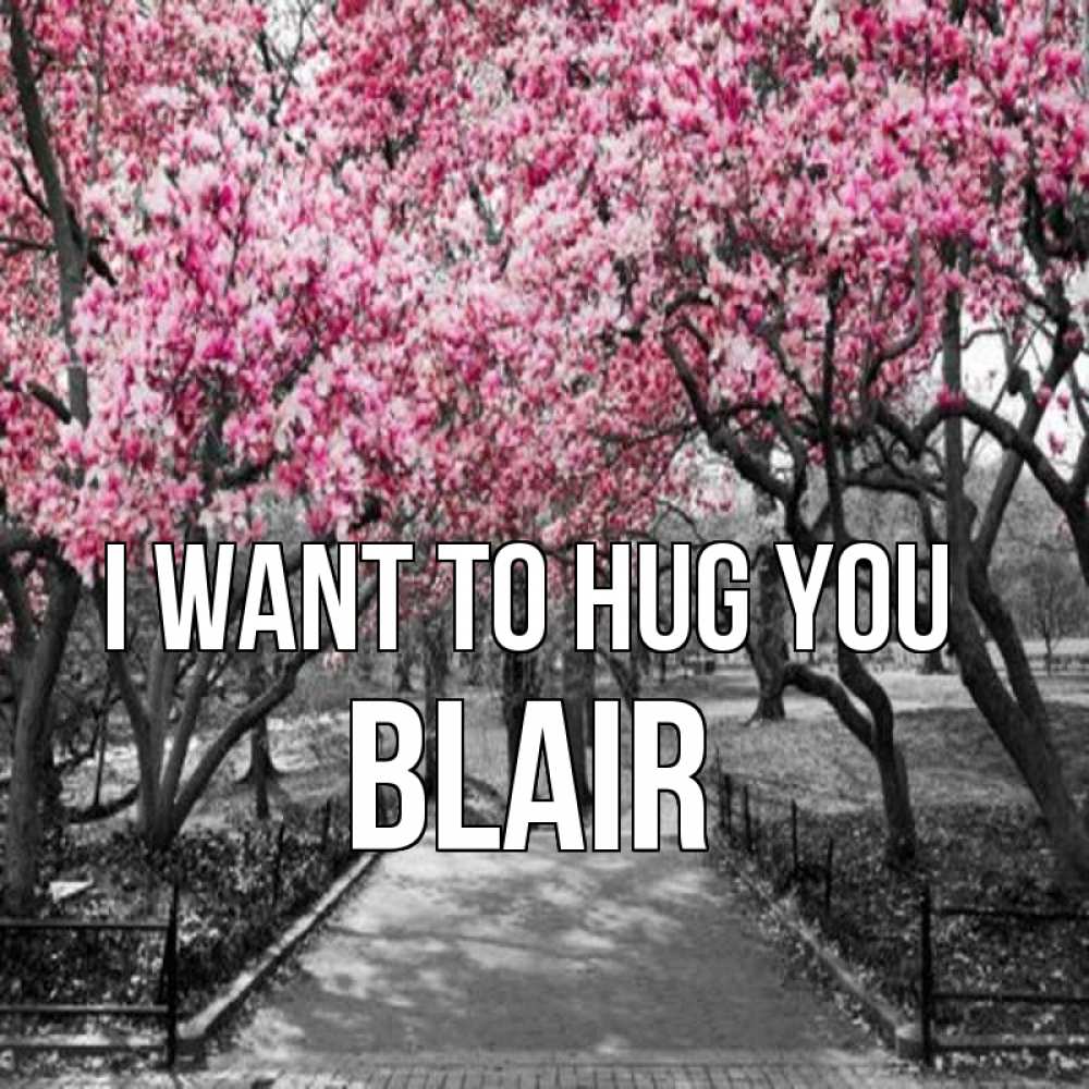 Greetings card с именем, Blair I want to hug you обработанное фото Greetings with text for free download 