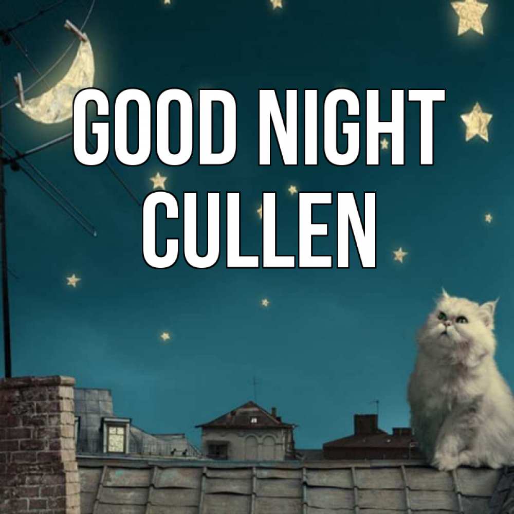 Greetings card с именем, Cullen Good night белый кот сидит на крыше Greetings with text for free download 