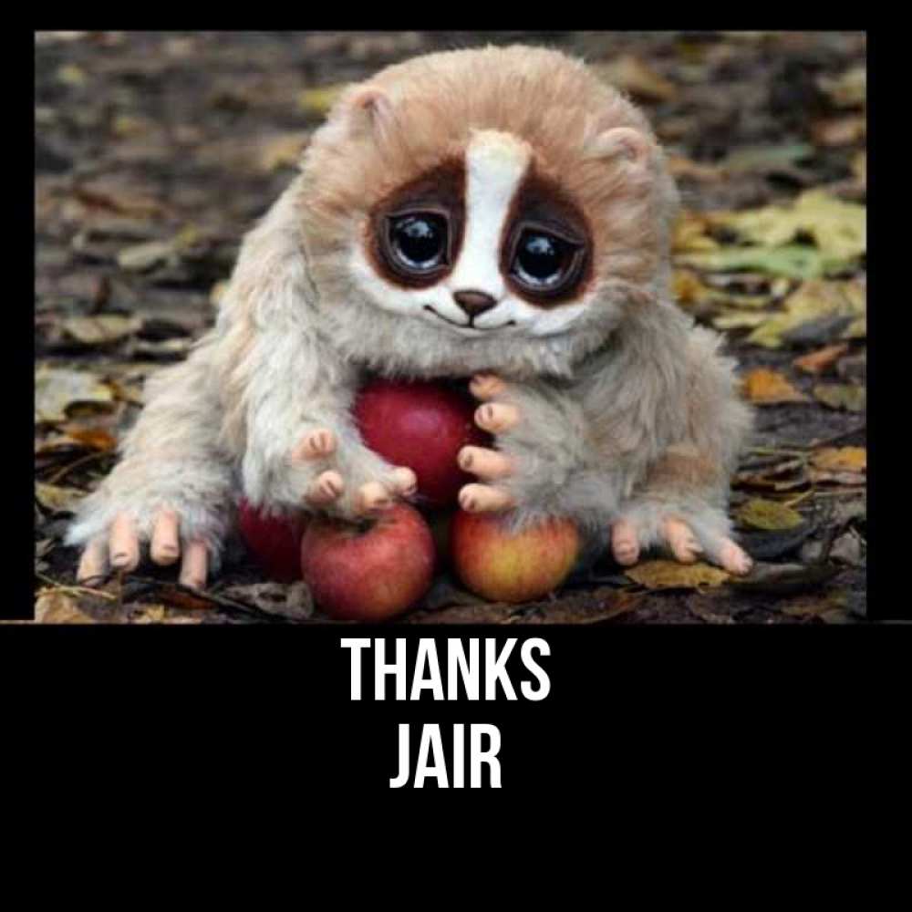 Greetings card с именем, Jair Thanks прикольное животное Greetings with text for free download 
