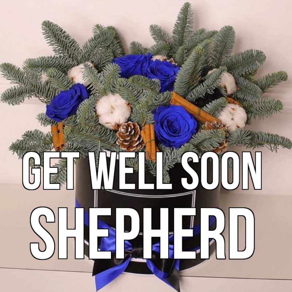 Greetings card с именем, Shepherd Get well soon короче кто то загрузил эти шишки Greetings with text for free download 