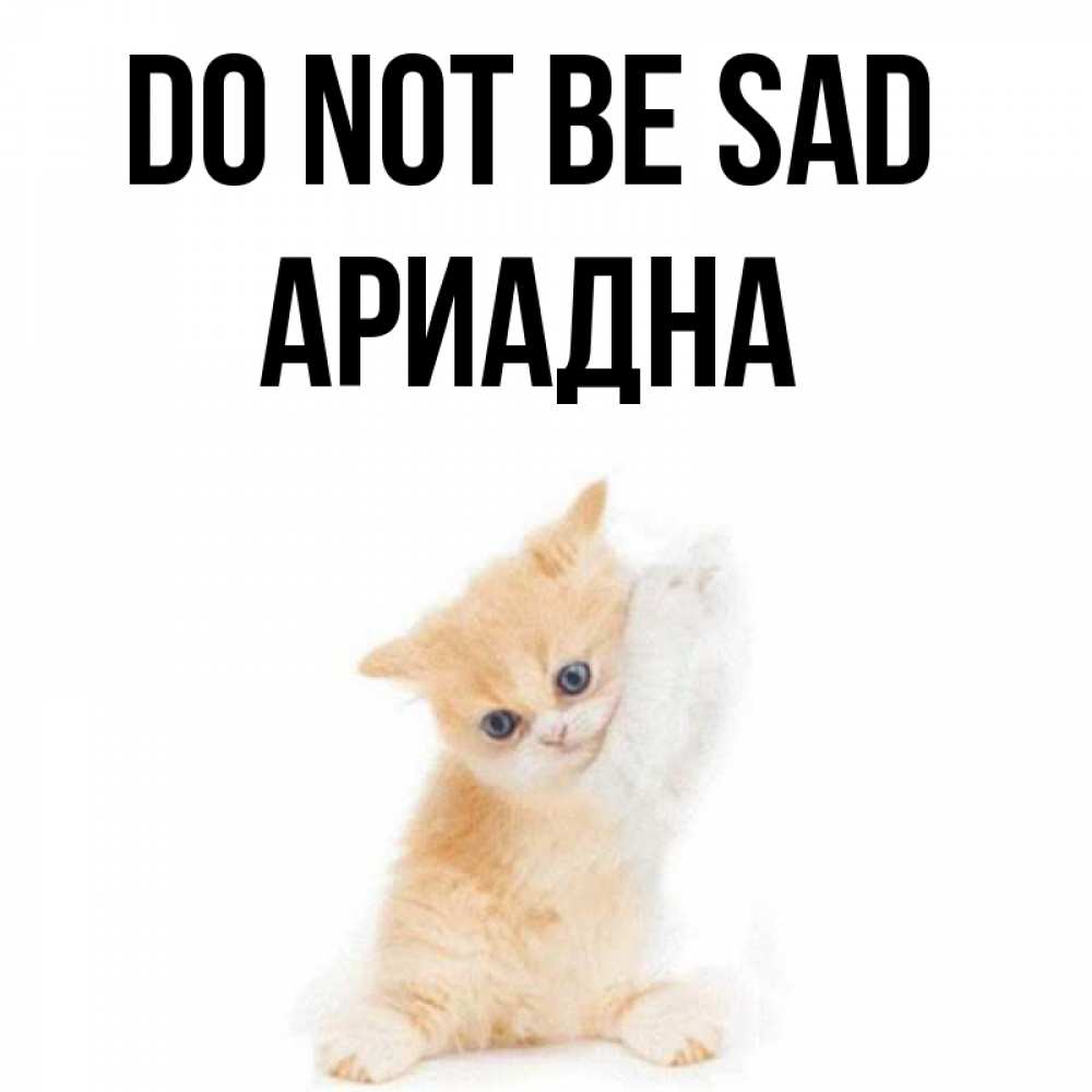 Greetings card с именем, Ариадна Do not be sad просящий кот Greetings with text for free download 