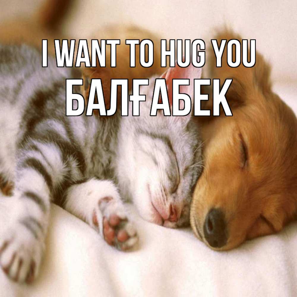 Greetings card с именем, Балғабек I want to hug you пес и котенок Greetings with text for free download 