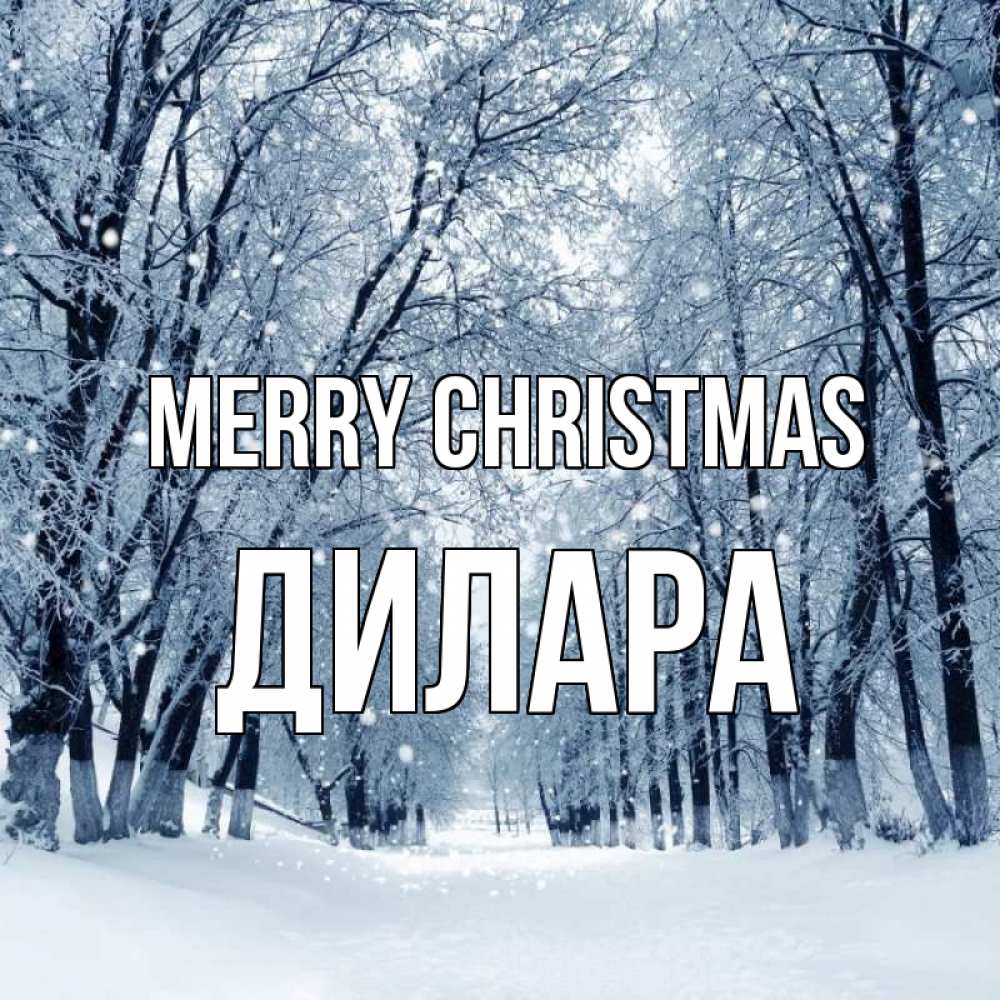 Greetings card с именем, Дилара Merry Christmas снег, лес, парк Greetings with text for free download 