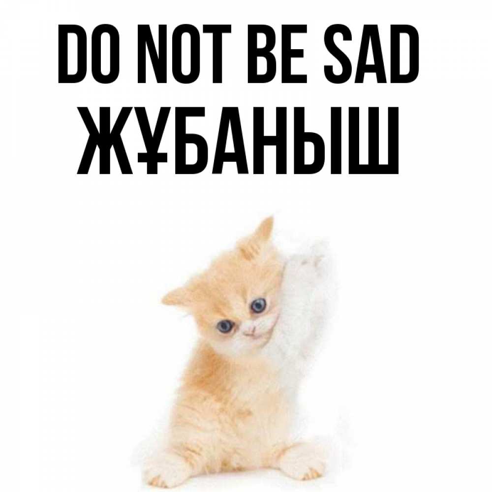 Greetings card с именем, Жұбаныш Do not be sad просящий кот Greetings with text for free download 