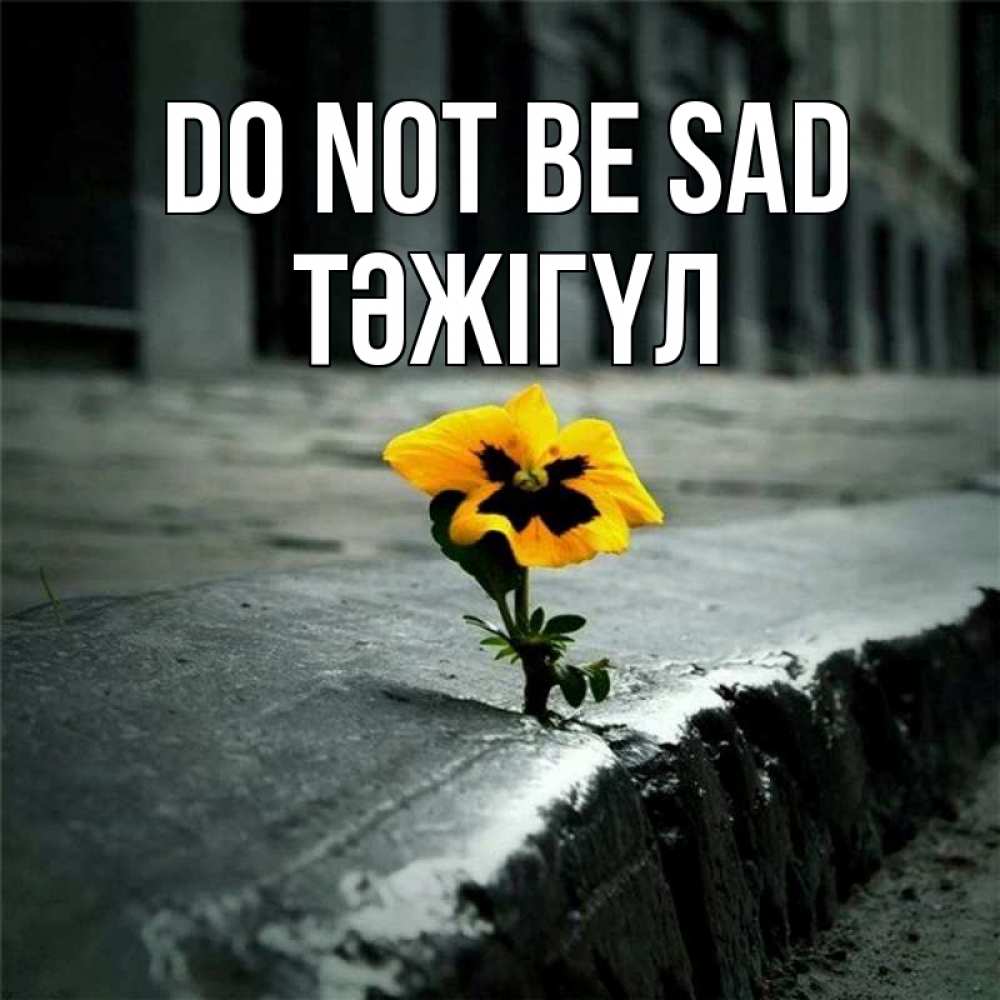 Greetings card с именем, ТӘЖІГҮЛ Do not be sad не сдавайся Greetings with text for free download 