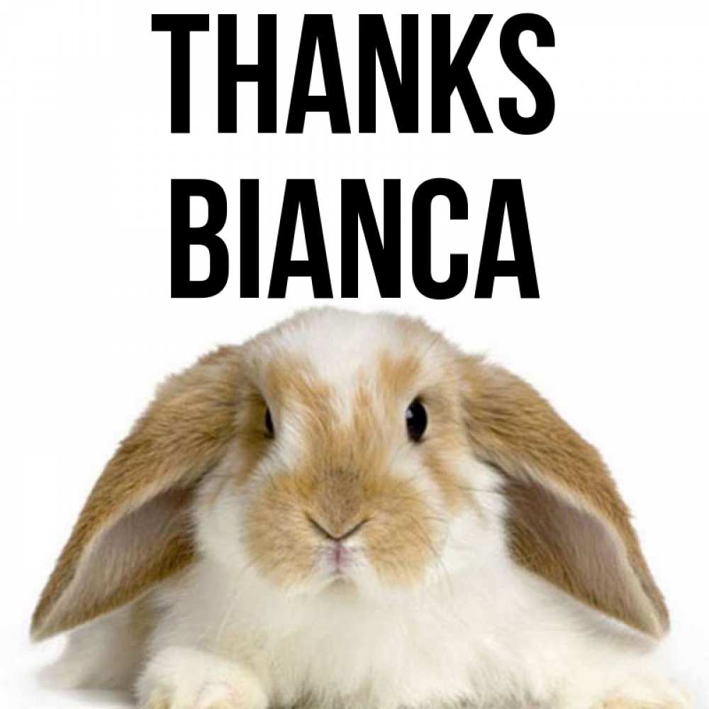 Greetings card с именем, Bianca Thanks коричнево белый заяц Greetings with text for free download 