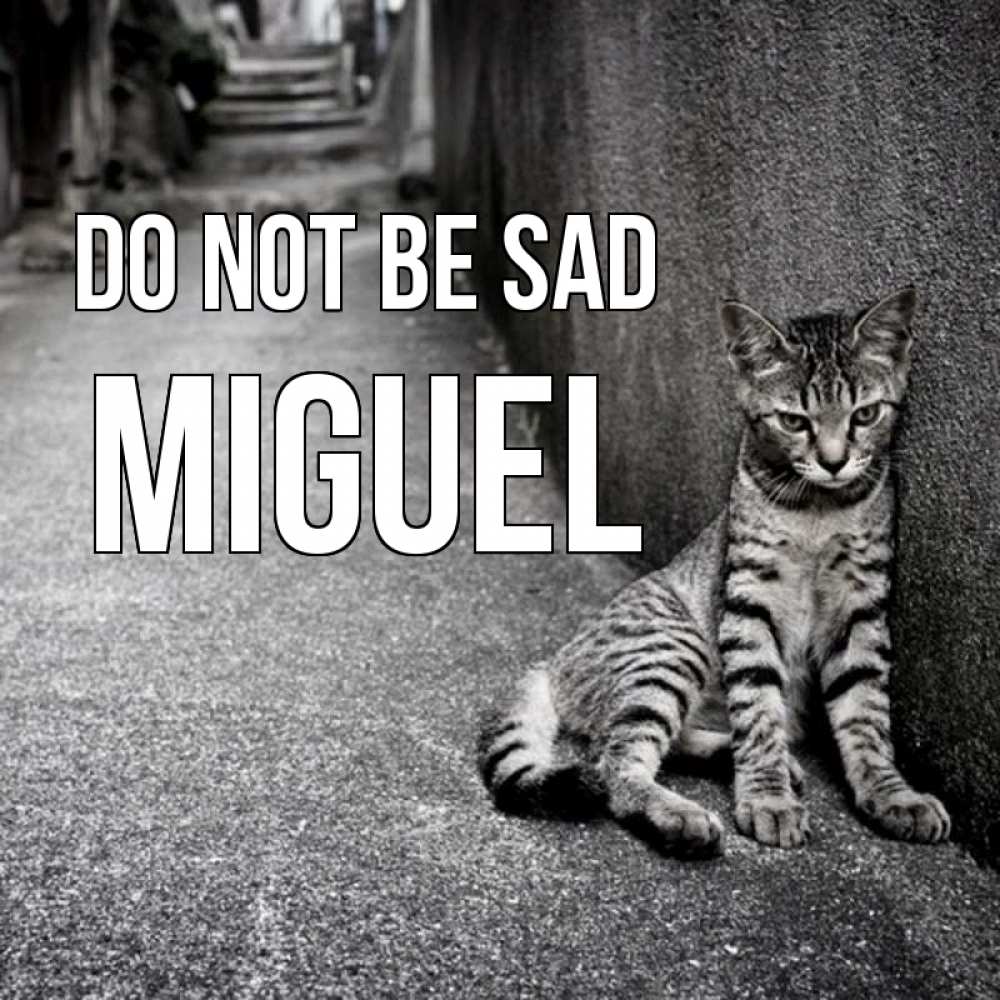 Greetings card с именем, Miguel Do not be sad скучающий котик Greetings with text for free download 