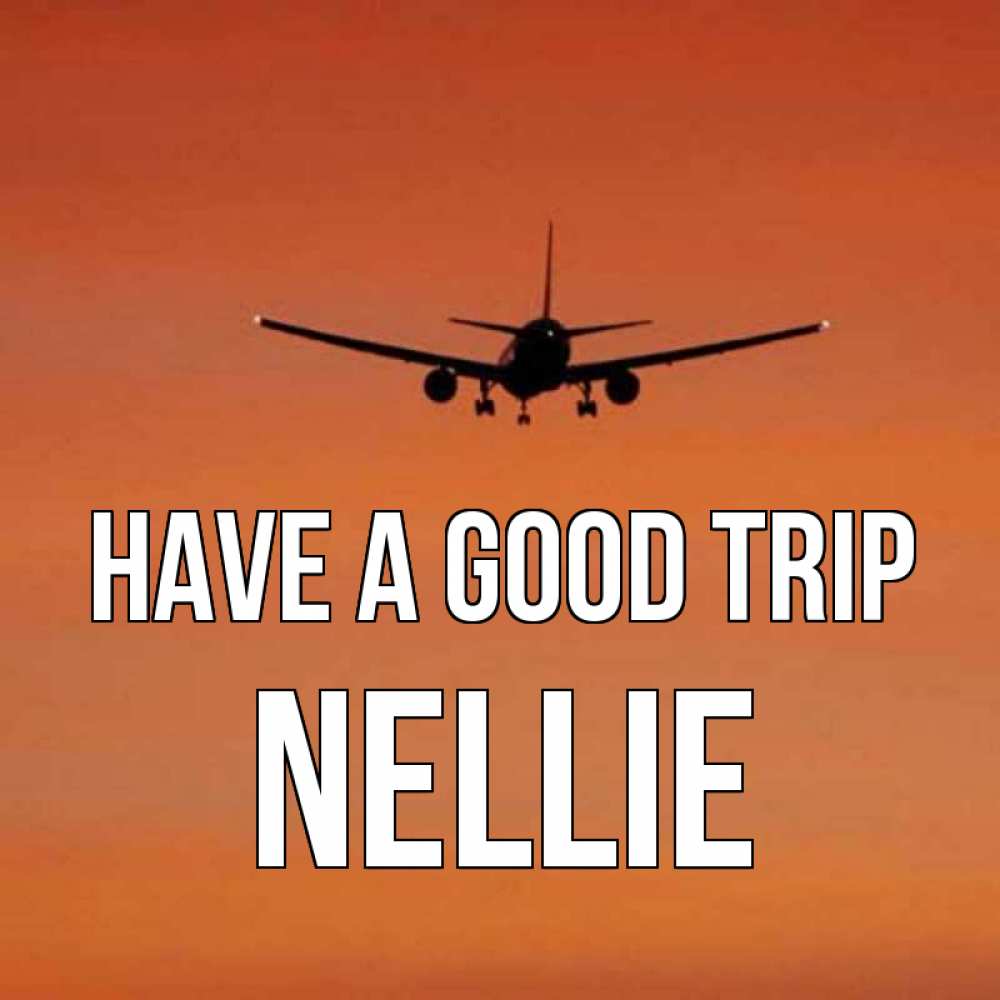 Greetings card с именем, Nellie Have a good trip силуэт самолета Greetings with text for free download 