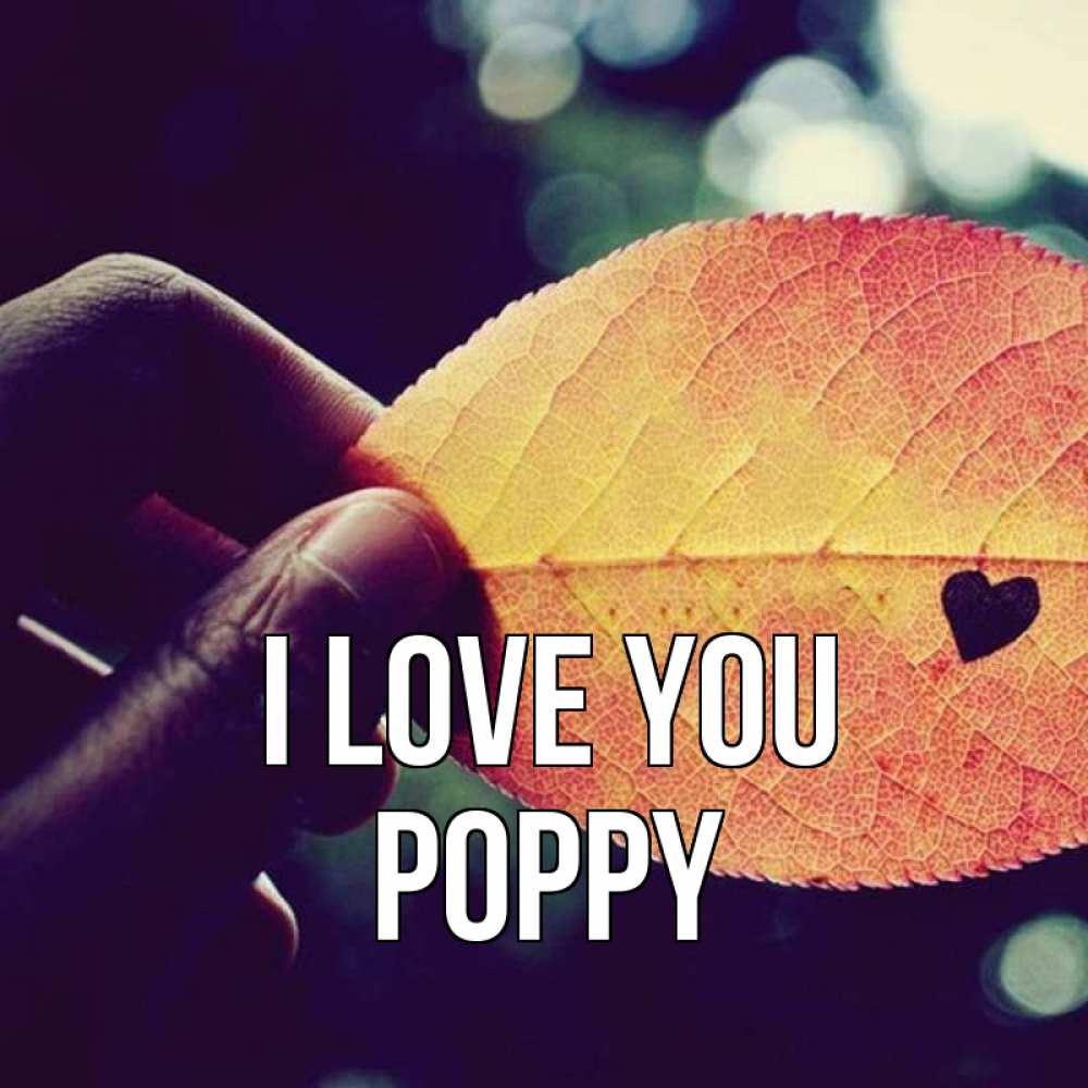 Greetings card с именем, Poppy I love you держу лист Greetings with text for free download 