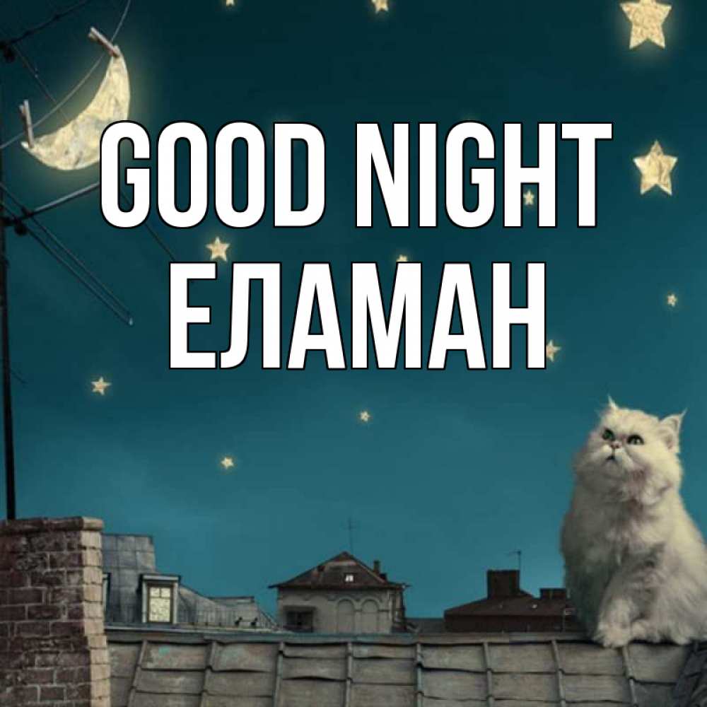Greetings card с именем, Еламан Good night белый кот сидит на крыше Greetings with text for free download 