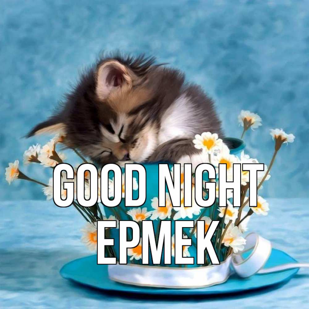Greetings card с именем, Ермек Good night котенок спит в кружке с блюдцем Greetings with text for free download 