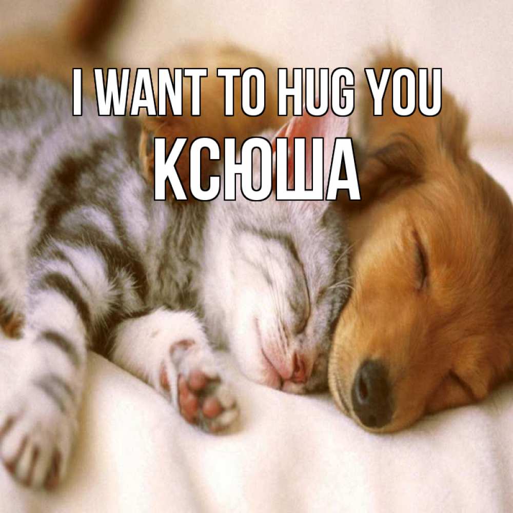 Greetings card с именем, Ксюша I want to hug you пес и котенок Greetings with text for free download 
