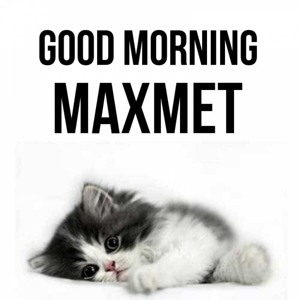 Greetings card с именем, МАХМЕТ Good morning кот лапки Greetings with text for free download 