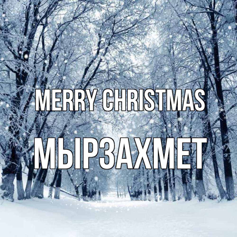 Greetings card с именем, МЫРЗАХМЕТ Merry Christmas снег, лес, парк Greetings with text for free download 