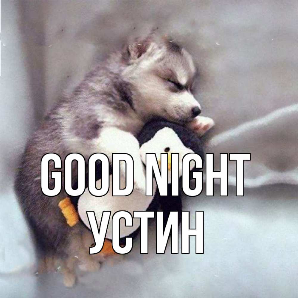 Greetings card с именем, Устин Good night обнимашки щенка и пингвина Greetings with text for free download 