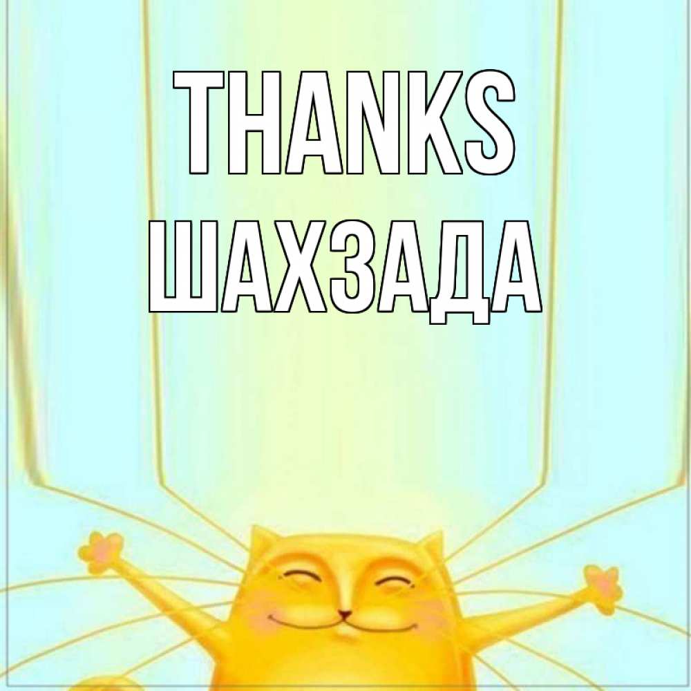 Greetings card с именем, ШАХЗАДА Thanks кот с усами благодарит Greetings with text for free download 