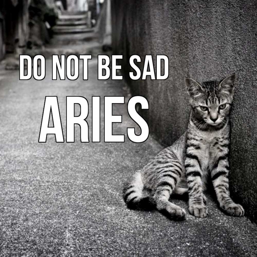 Greetings card с именем, Aries Do not be sad скучающий котик Greetings with text for free download 