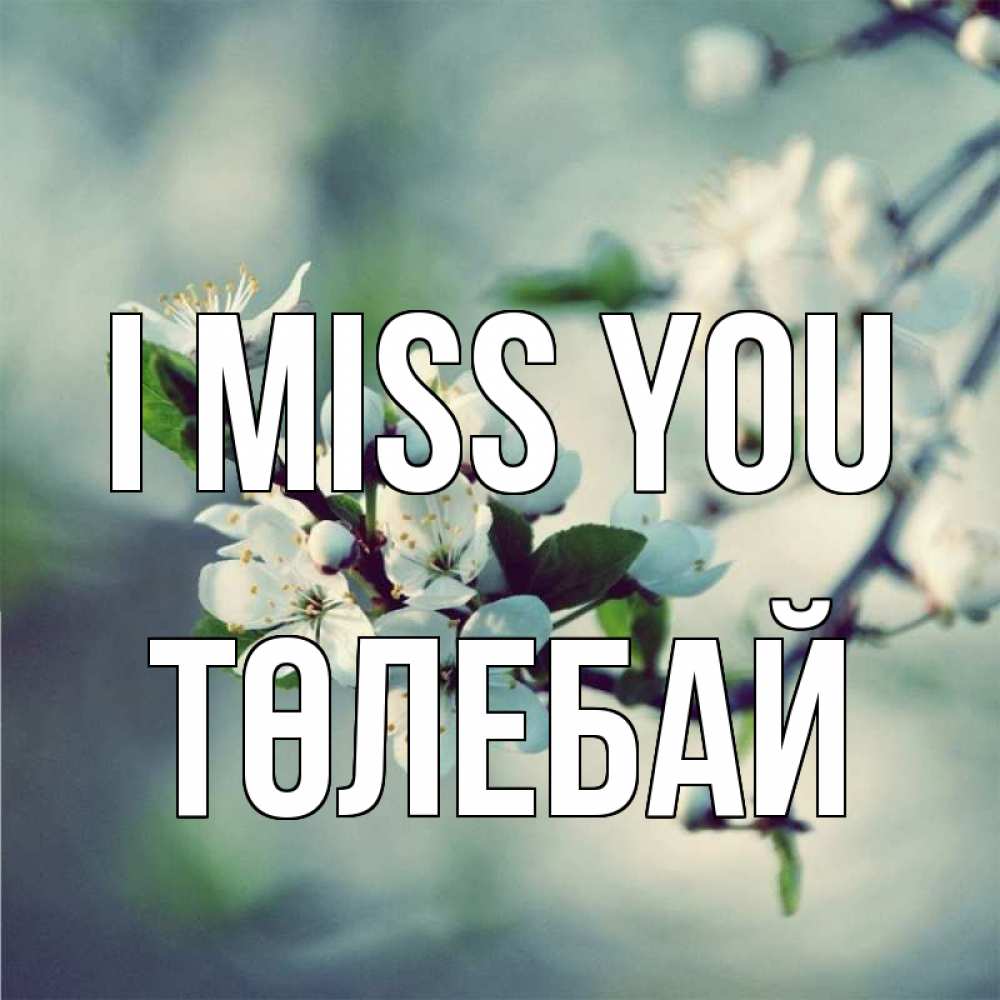 Greetings card с именем, ТӨЛЕБАЙ I miss you весна Greetings with text for free download 